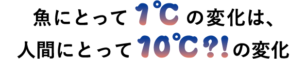 魚にとって1℃の変化は、人間にとって10℃?!の変化