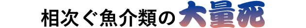 相次ぐ魚介類の大量死