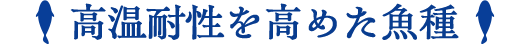 高温耐性を高めた魚種