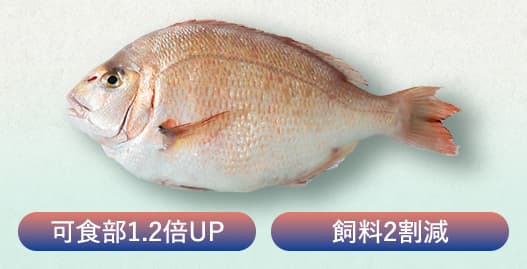 可食部1.2倍UP 飼料2割減